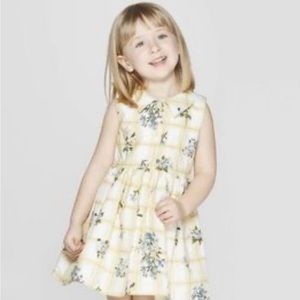 Mila and Emma Picnic dress